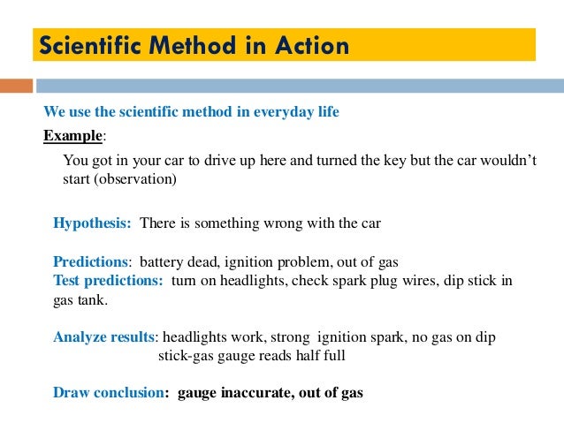 Scientific method in everyday life scientific method examples worksheet